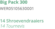 Big Pack 300 WER05105630001 14 Shroevendraaiers 14 Tournevis