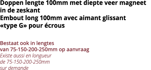 Doppen lengte 100mm met diepte veer magneet in de zeskant Embout long 100mm avec aimant glissant  type G  pour  crous   